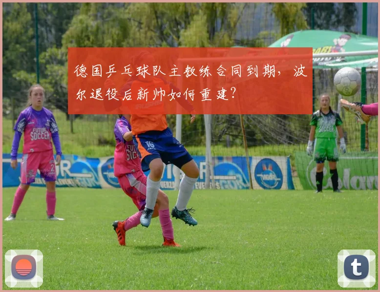 德国乒乓球队主教练合同到期,波尔退役后新帅如何重建?